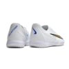Nike Phantom GX Academy IC