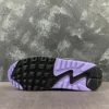Air Max 90 Purple