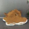 Jordan-6-generation-brown-5.jpg AJ6 generation brown