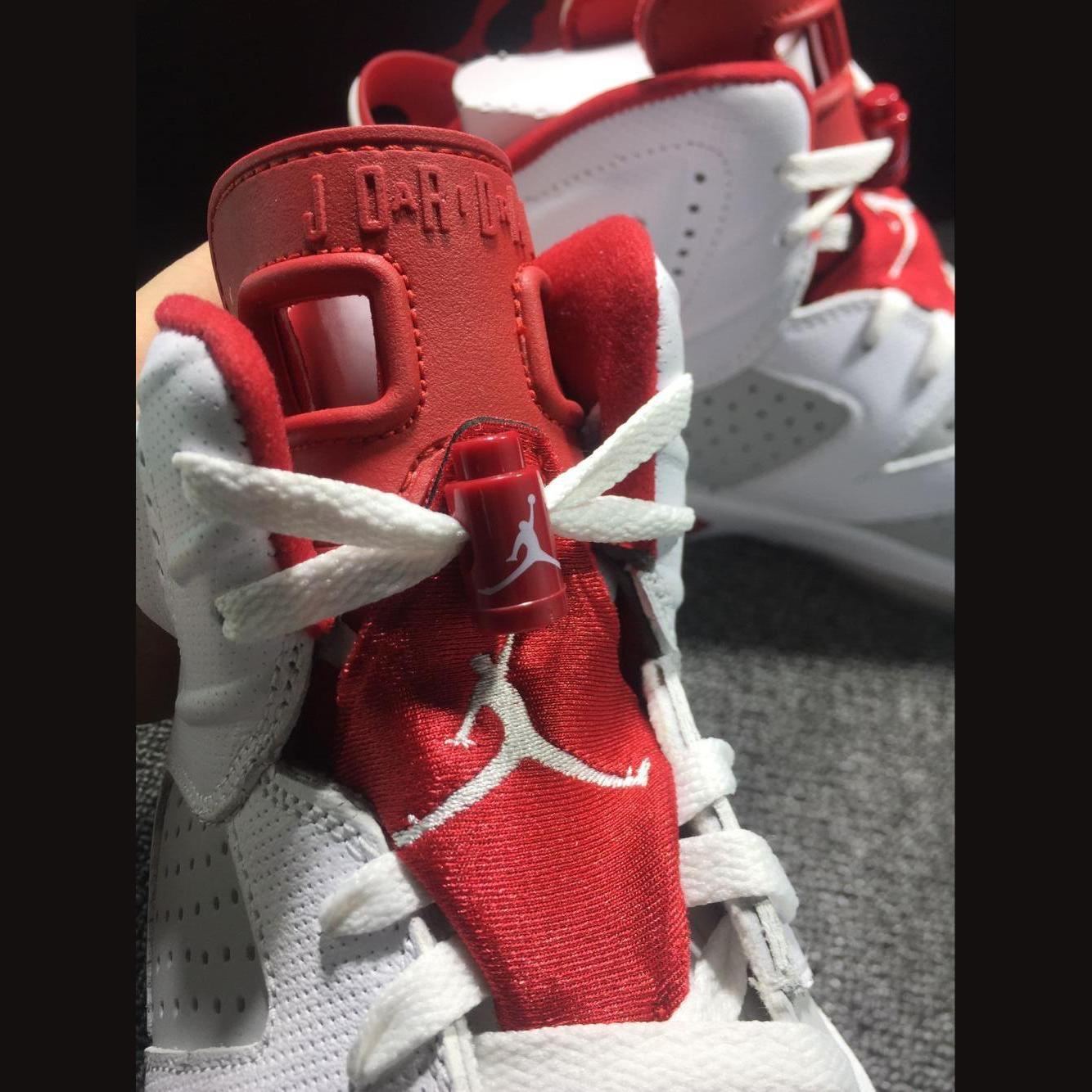 Jordan 6 rabbit pachyderm - Imagen 2
