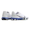 Nike Reactgato IC