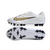 Nike Phantom GX Academy AG